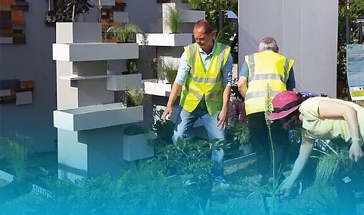 Horticulture (Part-time) Level 4