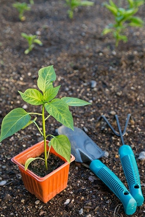 horticulture course