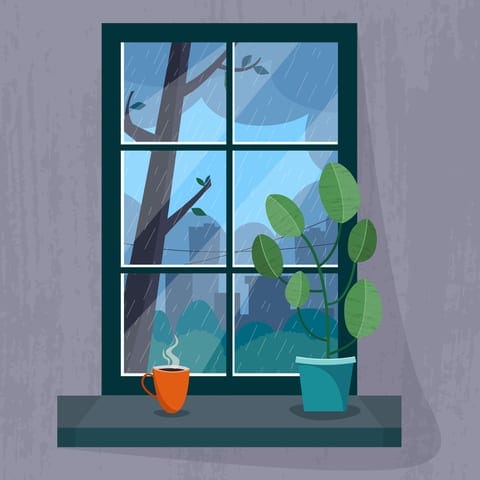 houseplantandcup