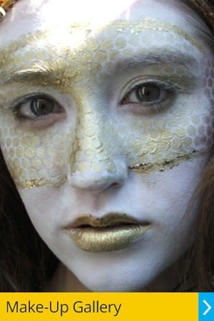 Make-Up Course Dublin