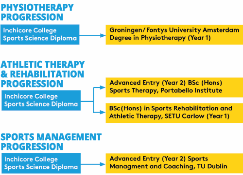 Sport and Exercise Science Course Progression