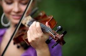 Violin